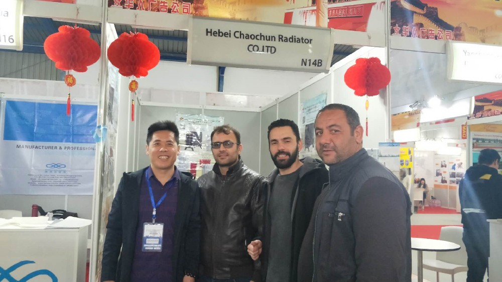 公司參加展會(huì)與國外客戶親切交談